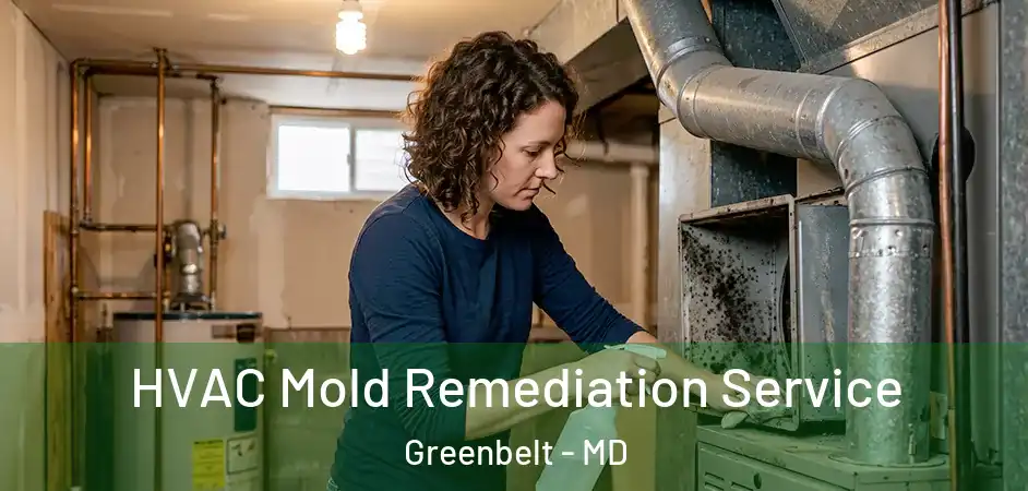 HVAC Mold Remediation Service Greenbelt - MD