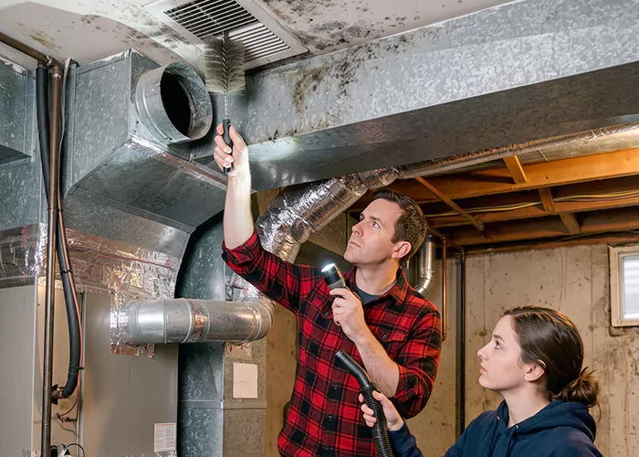 Premier HVAC Mold Remediation Company in Greenbelt